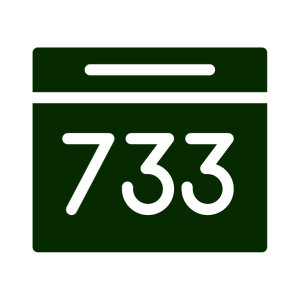 Electronic Chip Timing