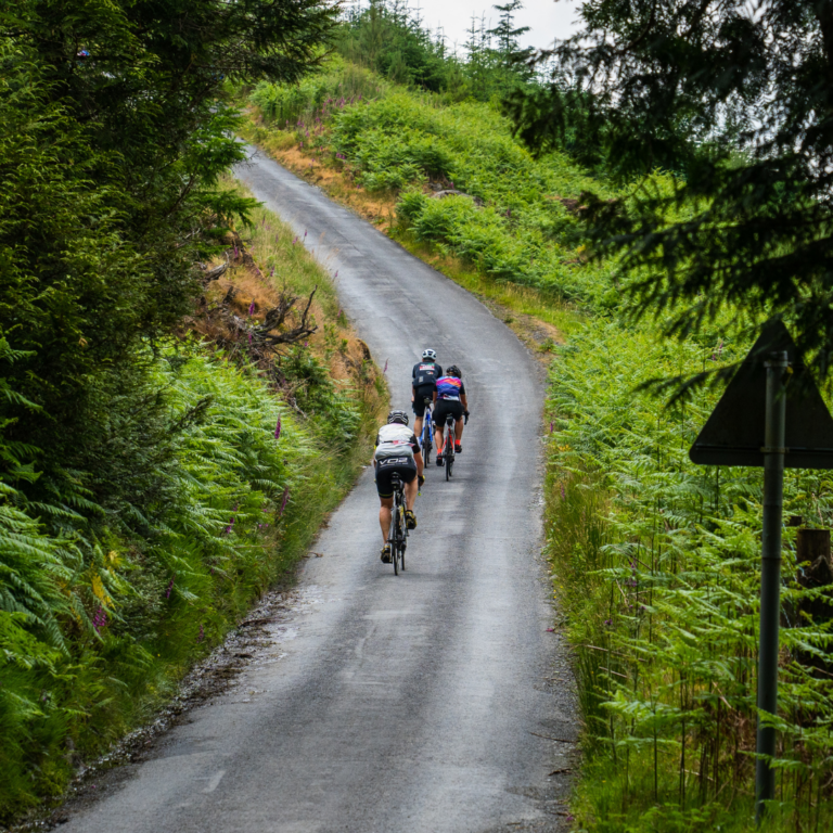How to Enter the 2027 Dragon Ride - Dragon Ride